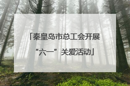 秦皇岛市总工会开展“六一”关爱活动