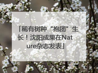 稀有树种“抱团”生长！沈阳成果在Nature杂志发表