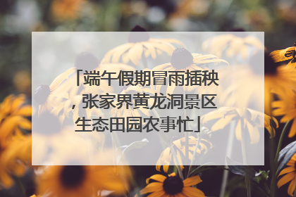 端午假期冒雨插秧，张家界黄龙洞景区生态田园农事忙