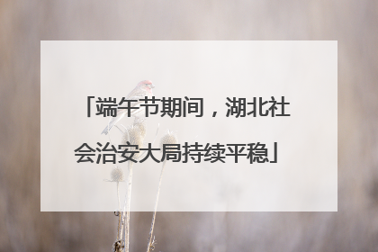 端午节期间，湖北社会治安大局持续平稳