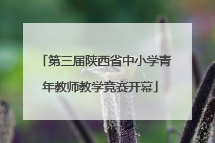第三届陕西省中小学青年教师教学竞赛开幕
