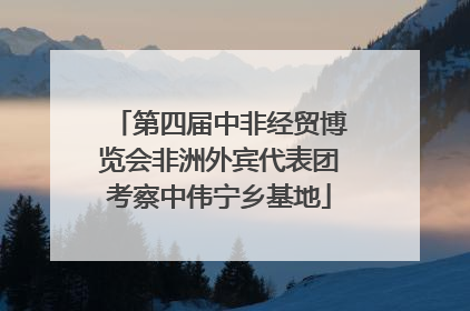 第四届中非经贸博览会非洲外宾代表团考察中伟宁乡基地