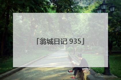 翁城日记 935