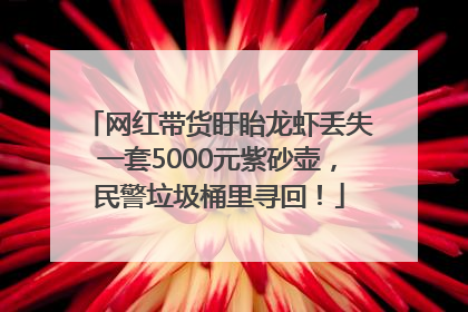 网红带货盱眙龙虾丢失一套5000元紫砂壶，民警垃圾桶里寻回！