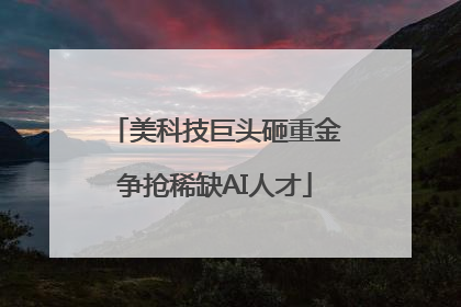 美科技巨头砸重金争抢稀缺AI人才