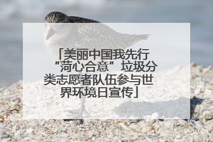 美丽中国我先行 “菏心合意”垃圾分类志愿者队伍参与世界环境日宣传