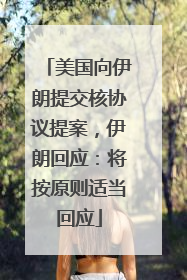 美国向伊朗提交核协议提案，伊朗回应：将按原则适当回应
