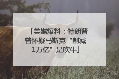 美媒爆料：特朗普曾怀疑马斯克“削减1万亿”是吹牛