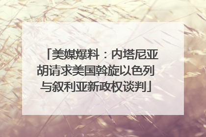 美媒爆料：内塔尼亚胡请求美国斡旋以色列与叙利亚新政权谈判
