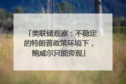 美联储观察：不稳定的特朗普政策环境下，鲍威尔只能旁观