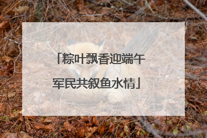 粽叶飘香迎端午 军民共叙鱼水情