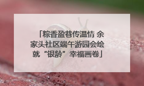 粽香盈巷传温情 余家头社区端午游园会绘就“银龄”幸福画卷