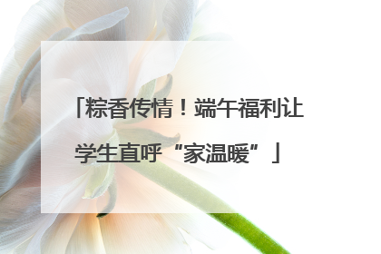 粽香传情！端午福利让学生直呼“家温暖”