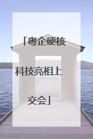 粤企硬核科技亮相上交会