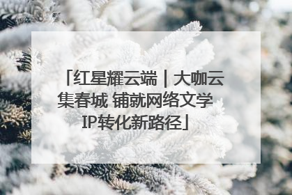 红星耀云端｜大咖云集春城 铺就网络文学IP转化新路径