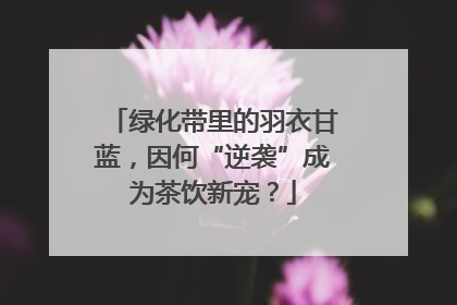 绿化带里的羽衣甘蓝，因何“逆袭”成为茶饮新宠？