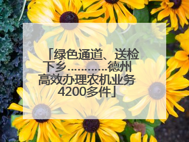 绿色通道、送检下乡…………德州高效办理农机业务4200多件