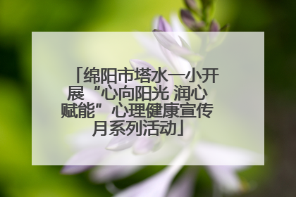 绵阳市塔水一小开展“心向阳光 润心赋能”心理健康宣传月系列活动