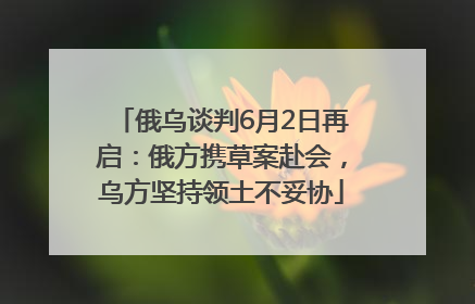 俄乌谈判6月2日再启：俄方携草案赴会，乌方坚持领土不妥协