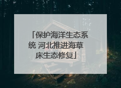 保护海洋生态系统 河北推进海草床生态修复