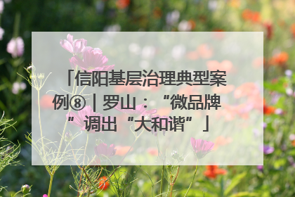 信阳基层治理典型案例⑧｜罗山：“微品牌”调出“大和谐”