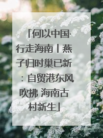何以中国·行走海南丨燕子归时巢已新：自贸港东风吹拂 海南古村新生