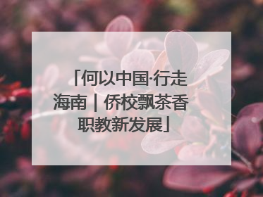 何以中国·行走海南｜侨校飘茶香 职教新发展