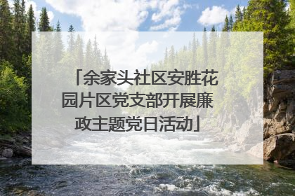 余家头社区安胜花园片区党支部开展廉政主题党日活动