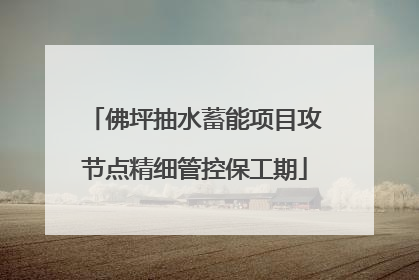 佛坪抽水蓄能项目攻节点精细管控保工期