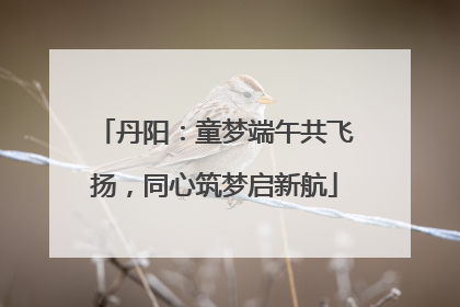 丹阳：童梦端午共飞扬，同心筑梦启新航