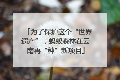 为了保护这个“世界遗产”，蚂蚁森林在云南再“种”新项目