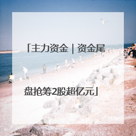 主力资金｜资金尾盘抢筹2股超亿元
