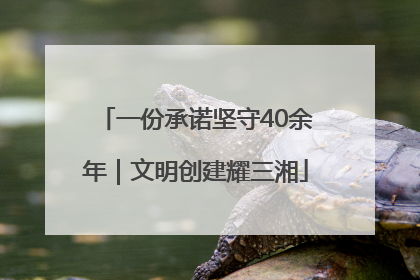 一份承诺坚守40余年｜文明创建耀三湘