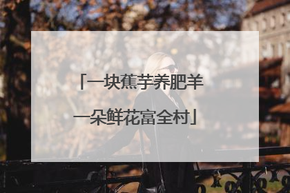 一块蕉芋养肥羊 一朵鲜花富全村