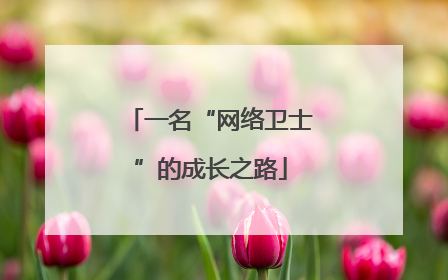 一名“网络卫士”的成长之路