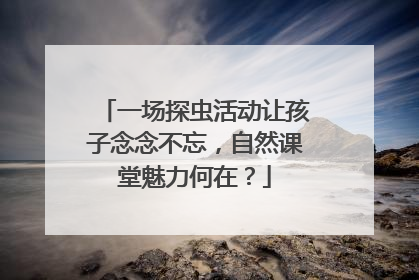 一场探虫活动让孩子念念不忘，自然课堂魅力何在？