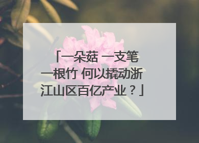 一朵菇 一支笔 一根竹 何以撬动浙江山区百亿产业？