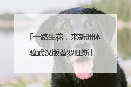 一路生花，来新洲体验武汉版普罗旺斯