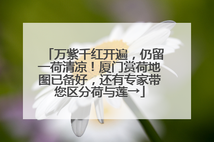 万紫千红开遍，仍留一荷清凉！厦门赏荷地图已备好，还有专家带您区分荷与莲→