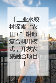 三亚水蛟村探索“农田+”耕地复合利用模式，开发农旅融合项目