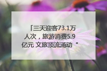 三天迎客73.1万人次，旅游消费5.9亿元 文旅顶流涌动“江宁style”