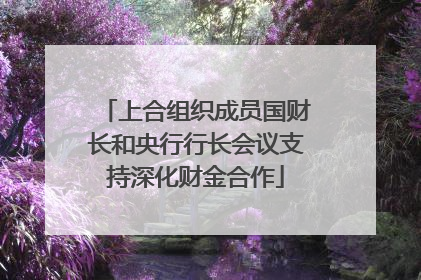 上合组织成员国财长和央行行长会议支持深化财金合作
