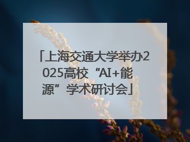 上海交通大学举办2025高校“AI+能源”学术研讨会