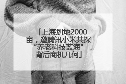 上海划地2000亩，邀腾讯小米共探“养老科技蓝海”，背后商机几何