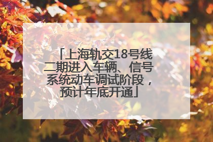 上海轨交18号线二期进入车辆、信号系统动车调试阶段，预计年底开通