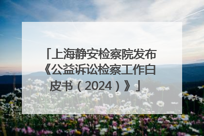 上海静安检察院发布《公益诉讼检察工作白皮书（2024）》
