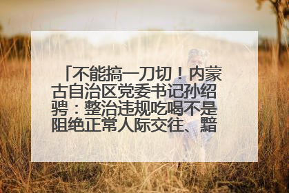 不能搞一刀切！内蒙古自治区党委书记孙绍骋：整治违规吃喝不是阻绝正常人际交往、黯淡人间烟火