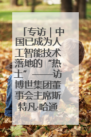 专访｜中国已成为人工智能技术落地的“热土”——访博世集团董事会主席斯特凡·哈通