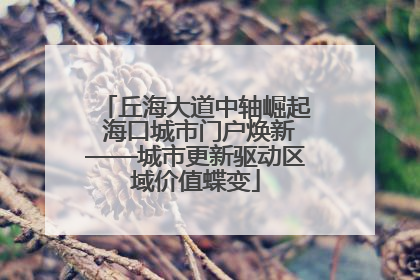 丘海大道中轴崛起 海口城市门户焕新——城市更新驱动区域价值蝶变