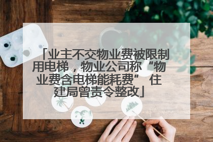 业主不交物业费被限制用电梯，物业公司称“物业费含电梯能耗费” 住建局曾责令整改